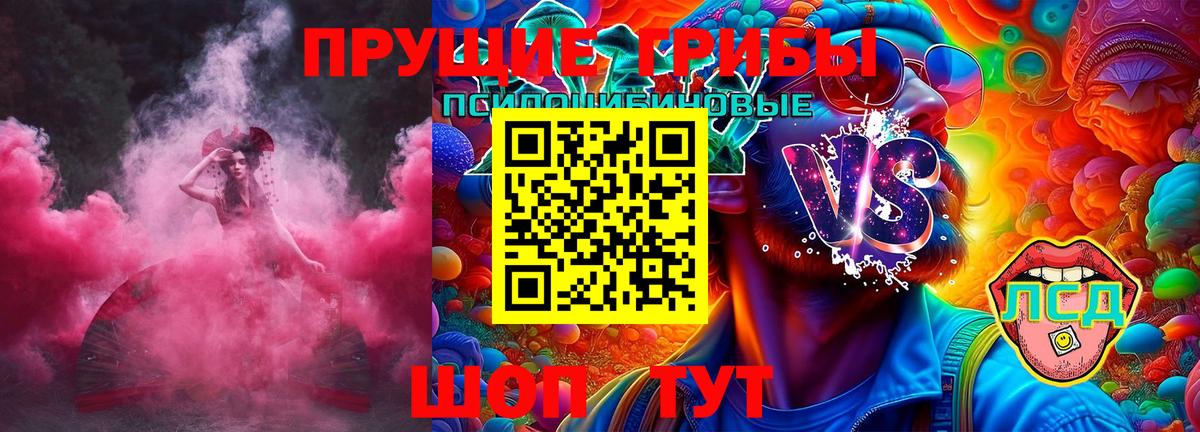 Псилоцибиновые грибы Psilocybe  сколько стоит  Вход с VPN  Асино  Галлюциногенные грибы Cubensis 